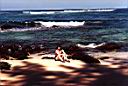 Hawaii-NorthShore1.jpg
